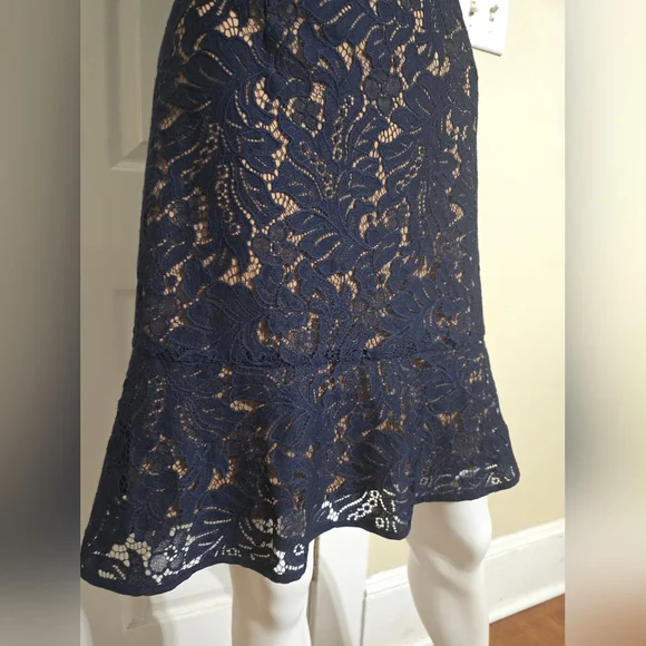 Banana Republic Midnight Blue Lace Dress - Picture 5 of 13